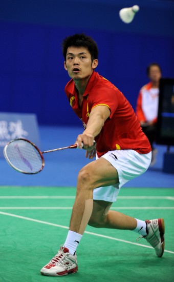 展现了极高 展现了极高